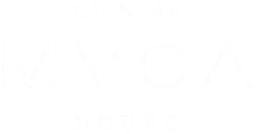 Quintas MVCA