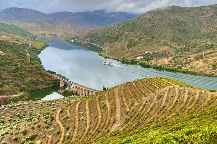 Quinta do Torrão - Quintas MVCA