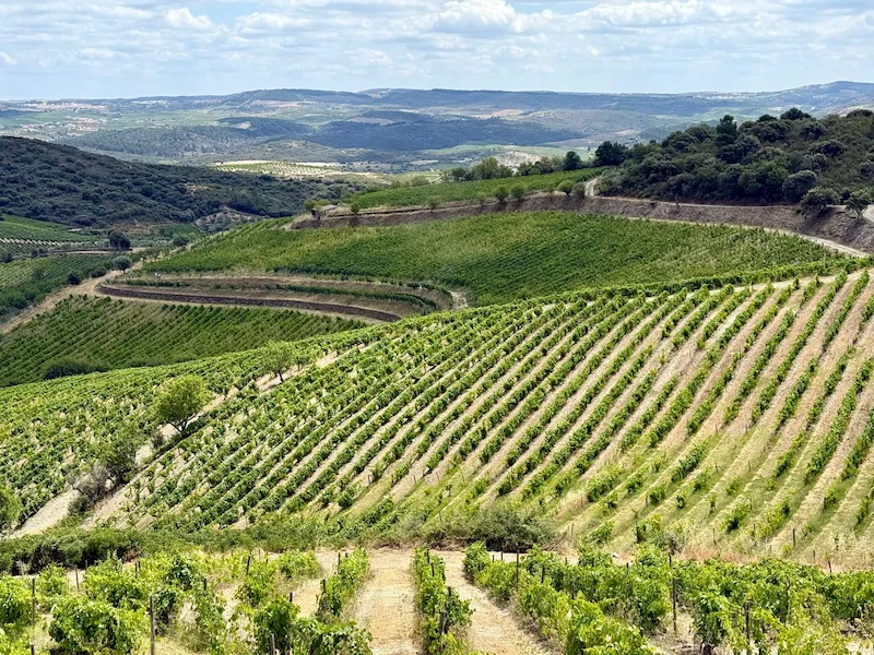 Vale D. Ainda 2024 - Quintas MVCA